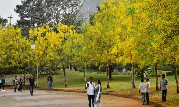 The Capittal Tree Thane Garden